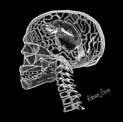 Messages - 56196641728401122721989406792n1.jpg